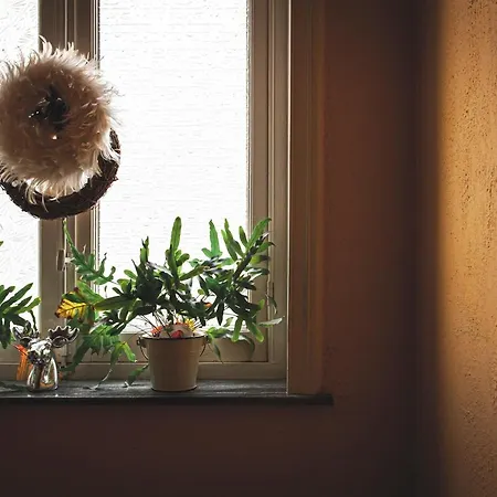 Bed and Breakfast La Passion Interdite 4*