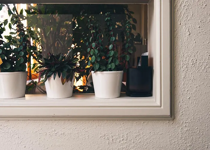 La Passion Interdite